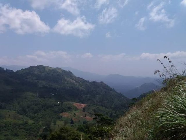Nature